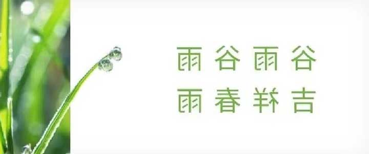 开云全站app（中国）官方
宠物